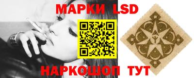 амф Заволжье