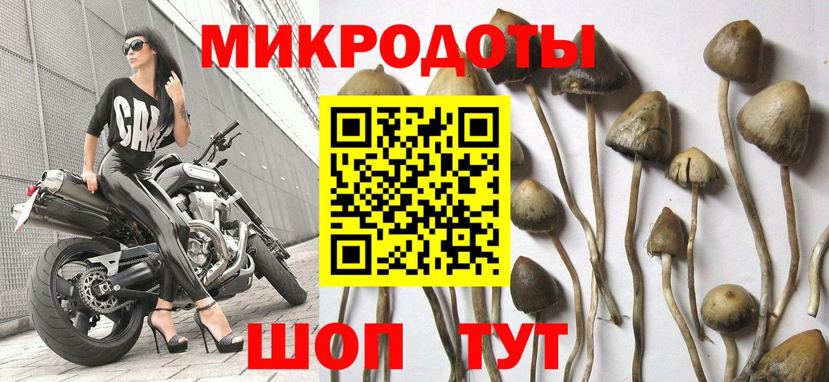 Галлюциногенные грибы мицелий Магадан